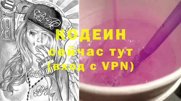 стаф Снежногорск
