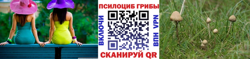 Галлюциногенные грибы мухоморы  купить закладку  Можга 